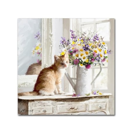 The Macneil Studio 'Kitten On Window Sil' Canvas Art,18x18